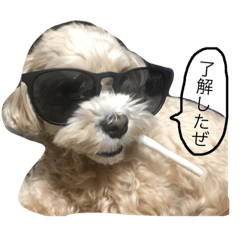 [LINEスタンプ] マルプーノンタン