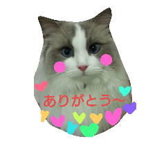 [LINEスタンプ] "ルナ"の素敵な毎日