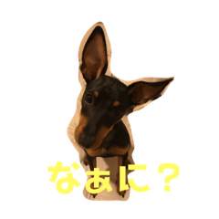 [LINEスタンプ] ハナ＆マロ
