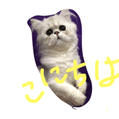 [LINEスタンプ] きなこハウス