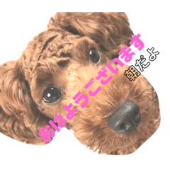 [LINEスタンプ] めんご