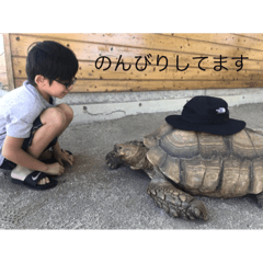 [LINEスタンプ] たろーず