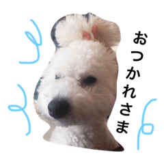 [LINEスタンプ] マメとペペ