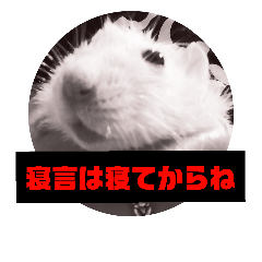 [LINEスタンプ] ファンシーラット5