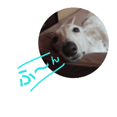 [LINEスタンプ] ボルゾイやっほい