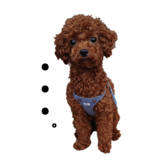 [LINEスタンプ] くおん