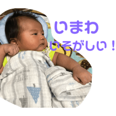 [LINEスタンプ] こはぴマニア.2