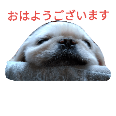 [LINEスタンプ] ユンバンチェンもんた