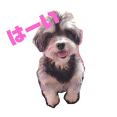 [LINEスタンプ] うちの子最高！