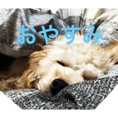[LINEスタンプ] ワン達