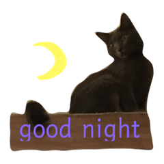 [LINEスタンプ] 銀猫キキ