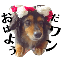 [LINEスタンプ] 愛犬みみなな