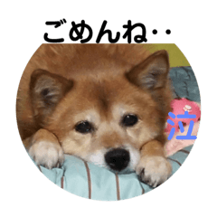 [LINEスタンプ] よく使う？言葉