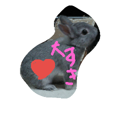 [LINEスタンプ] 可愛すぎるうさぎさん
