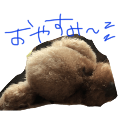 [LINEスタンプ] ちびっこ。。