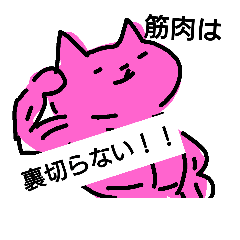 [LINEスタンプ] カラフルな筋肉ねこと仲間たちの挨拶