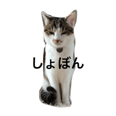 [LINEスタンプ] むった その1