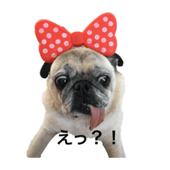 [LINEスタンプ] ボースと仲間たち