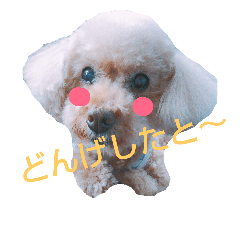 [LINEスタンプ] 宮崎弁プ～イ