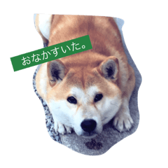 [LINEスタンプ] そらまめwithひな
