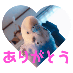 [LINEスタンプ] 子安家用スタンプ
