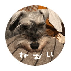 [LINEスタンプ] ジーナと同棲中