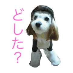 [LINEスタンプ] ティアラ姫とジュエル姫