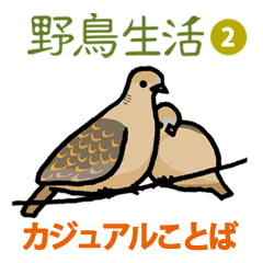 [LINEスタンプ] 野鳥生活のスタンプ2