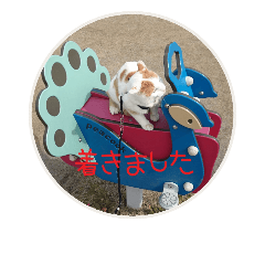 [LINEスタンプ] えつおさん(猫)の公園編