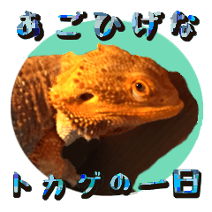 [LINEスタンプ] あごひげなトカゲの一日