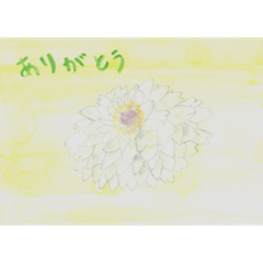 [LINEスタンプ] 水彩画スタンプラム