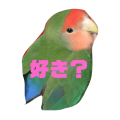 [LINEスタンプ] ピータンの日常2