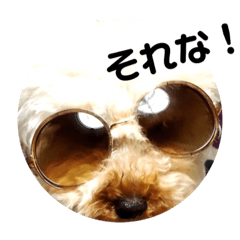 [LINEスタンプ] バニバニクータン 2