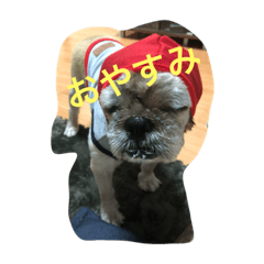[LINEスタンプ] 我が家の息子達！