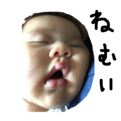 [LINEスタンプ] りんたろうくん専用