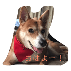 [LINEスタンプ] ネネとすだれ
