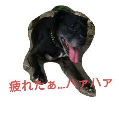 [LINEスタンプ] 大畑マーキュリー♀