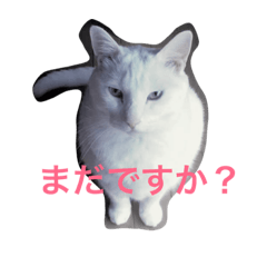 [LINEスタンプ] とのちゃんのスタンプ