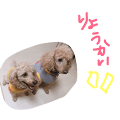 [LINEスタンプ] コロココ