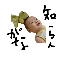 [LINEスタンプ] こたさんのすたんぷ