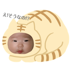 [LINEスタンプ] ののまるさんのスタンプ。