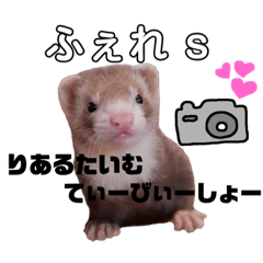 [LINEスタンプ] フェレット日常スタンプ3