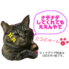 [LINEスタンプ] こまとしろ2