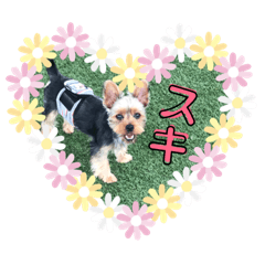 [LINEスタンプ] モコロ