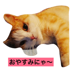 [LINEスタンプ] ぷぅアル
