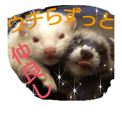 [LINEスタンプ] LOVE ferret2の画像（メイン）
