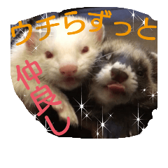 [LINEスタンプ] LOVE ferret2