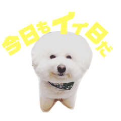 [LINEスタンプ] 長男犬 とげまる