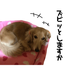 [LINEスタンプ] 僕のズビ(zzz)ライフ