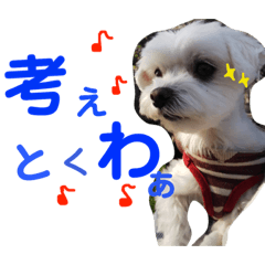 [LINEスタンプ] うちの可愛い小さな白いお姫②☆